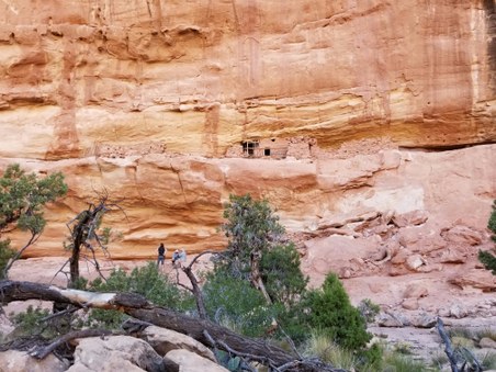 Enlarge photo 95