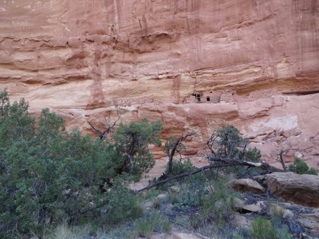 Enlarge photo 111