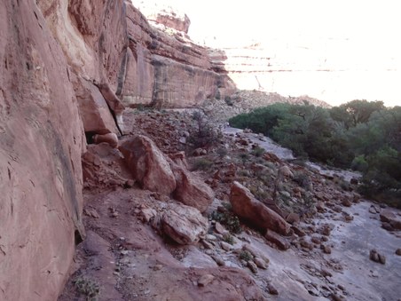Enlarge photo 116