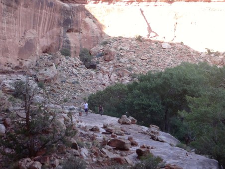 Enlarge photo 117
