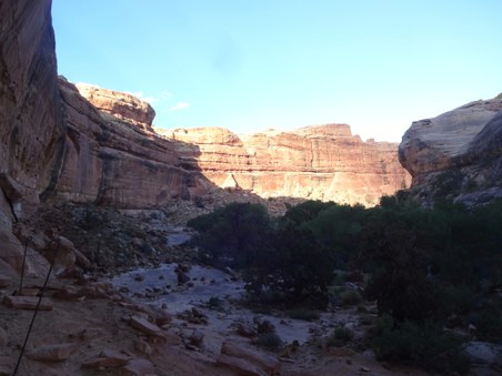 Enlarge photo 119