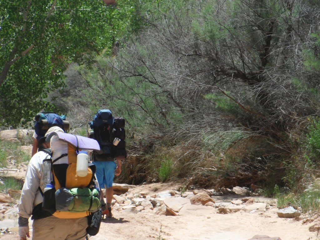 View Original Image