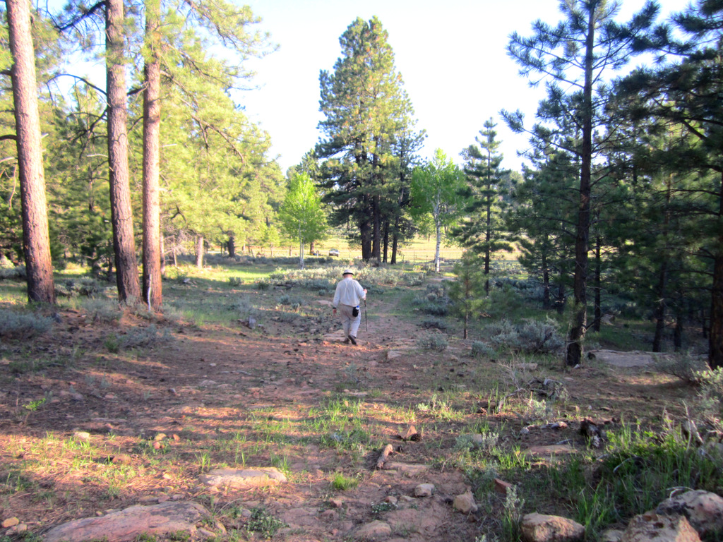 View Original Image
