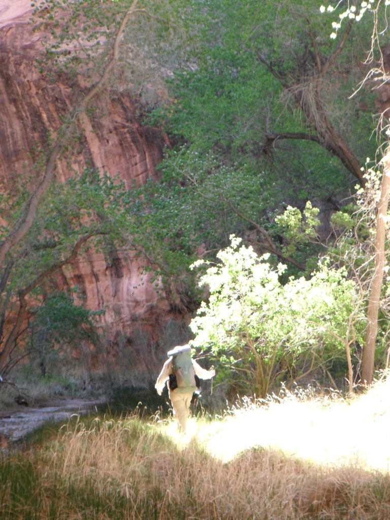 View Original Image