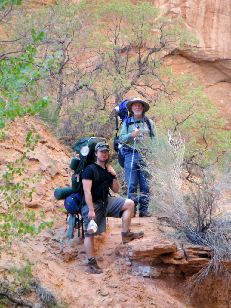 View Original Image