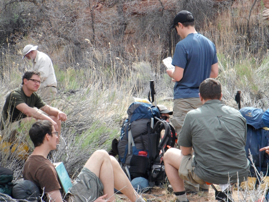 View Original Image