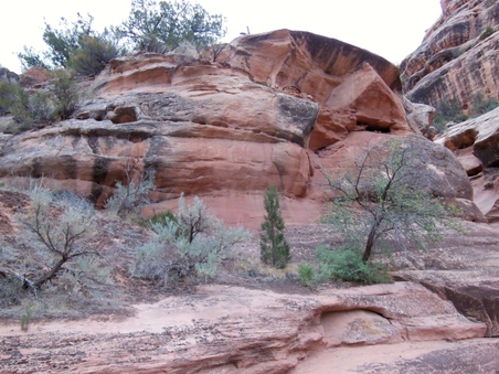 Enlarge photo 7