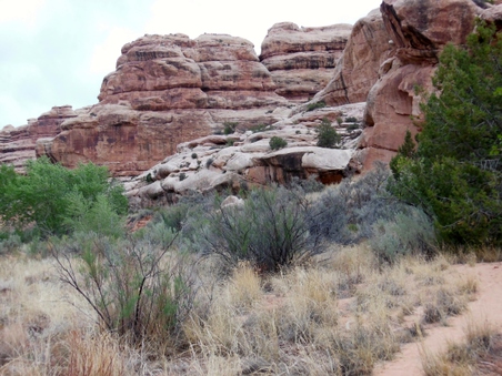 Enlarge photo 11
