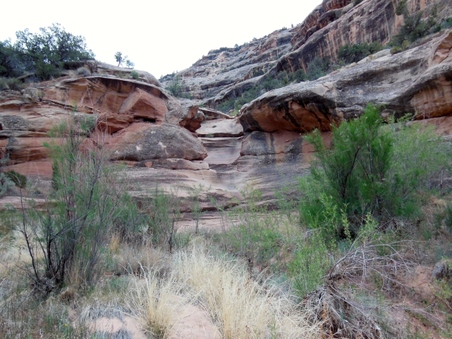 Enlarge photo 12