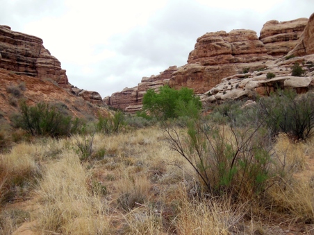 Enlarge photo 23