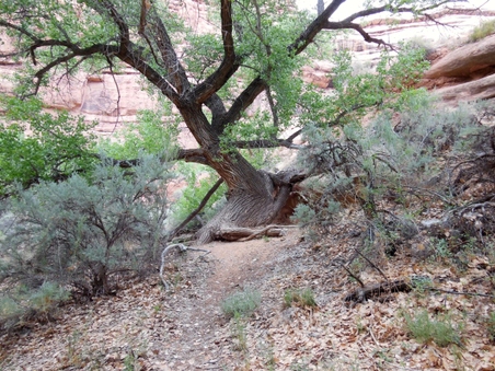 Enlarge photo 25