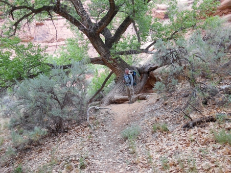 Enlarge photo 26