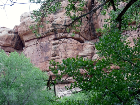 Enlarge photo 28