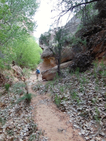 Enlarge photo 43