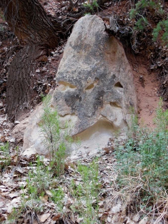 Enlarge photo 44