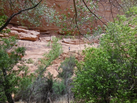 Enlarge photo 47