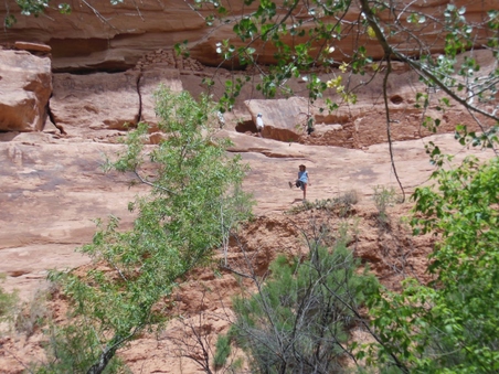Enlarge photo 48