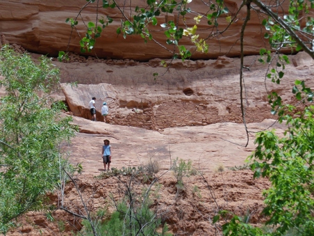 Enlarge photo 49
