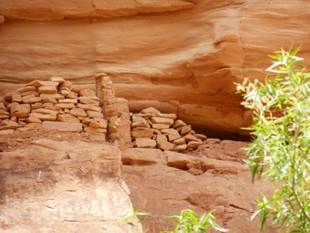 Enlarge photo 51