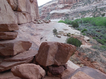 Enlarge photo 63
