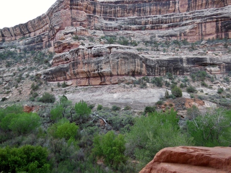 Enlarge photo 64