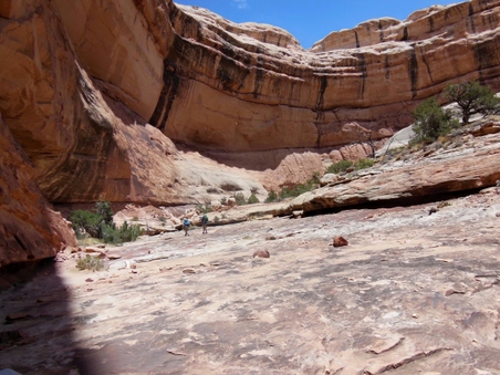Enlarge photo 82