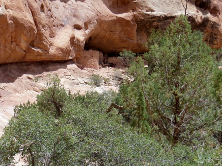 Enlarge photo 84