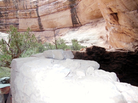 Enlarge photo 104