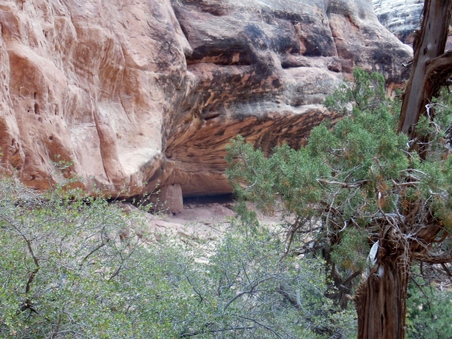 Enlarge photo 115
