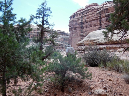 Enlarge photo 122