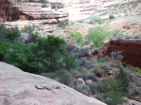 Enlarge photo 161