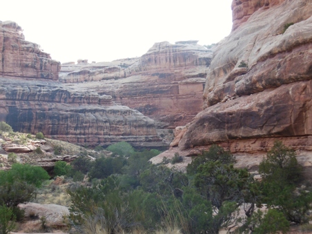 Enlarge photo 195