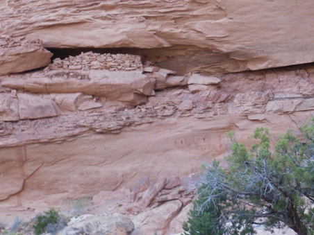 Enlarge photo 196