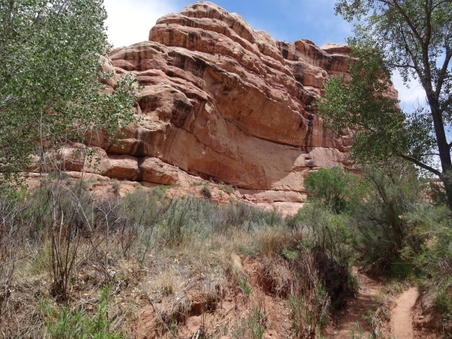 Enlarge photo 45