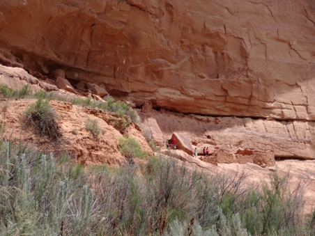 Enlarge photo 46