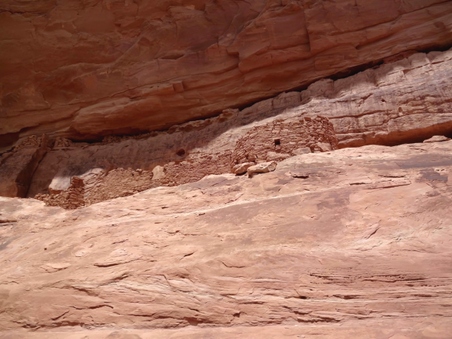 Enlarge photo 71