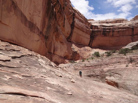 Enlarge photo 80