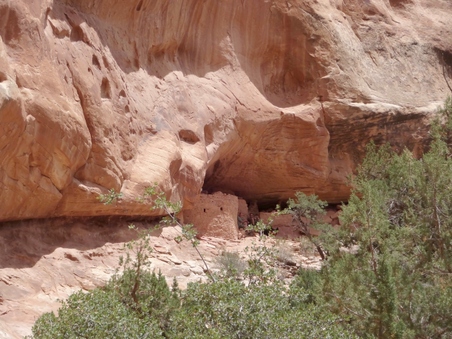 Enlarge photo 87