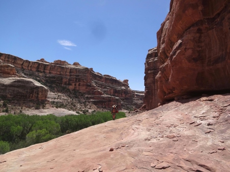 Enlarge photo 125