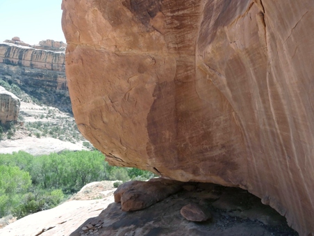 Enlarge photo 128