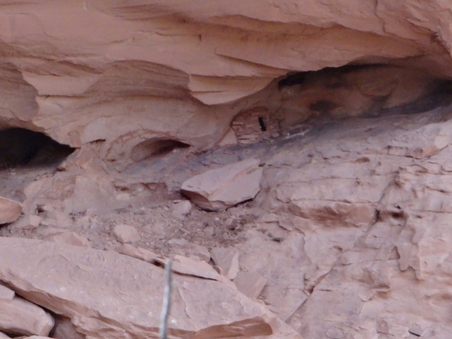Enlarge photo 163
