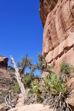 Enlarge photo 8