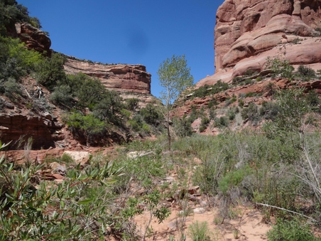 Enlarge photo 23