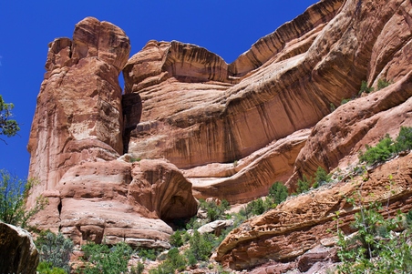 Enlarge photo 28