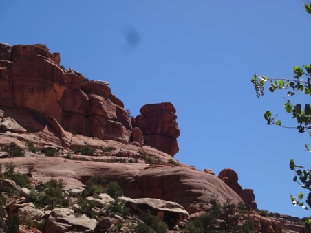 Enlarge photo 30