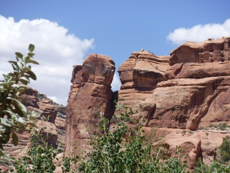 Enlarge photo 37