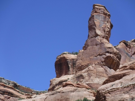 Enlarge photo 45