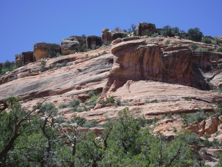 Enlarge photo 46