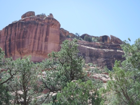 Enlarge photo 47
