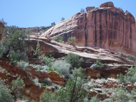 Enlarge photo 48
